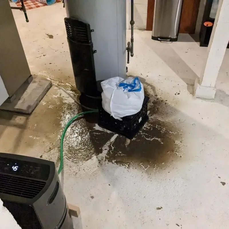 Sewage Backup Cleanup Service in LeChee, AZ